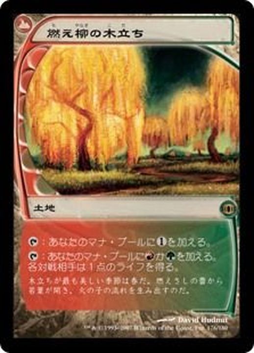 EX+]燃え柳の木立ち/Grove of the Burnwillows《日本語》【FUT】