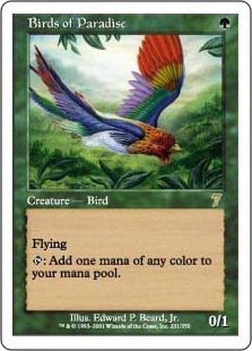 EX+]極楽鳥/Birds of Paradise《日本語》【7ED】