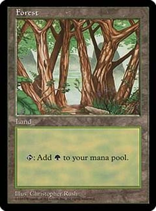 PLD]森/Forest《英語》【APAC2】
