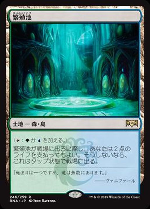 EX+](FOIL)繁殖池/Breeding Pool《日本語》【RNA】
