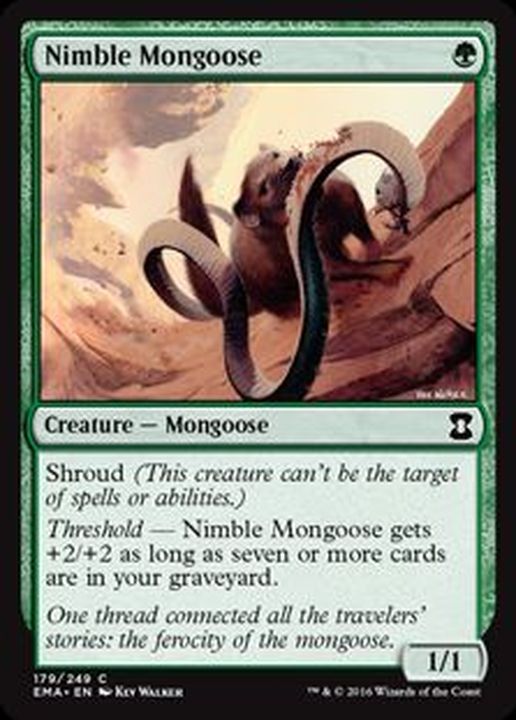EX+]敏捷なマングース/Nimble Mongoose《英語》【EMA】