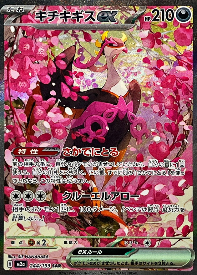 キチキギスex【SAR】{244/193} - カードラッシュ[ポケモン]