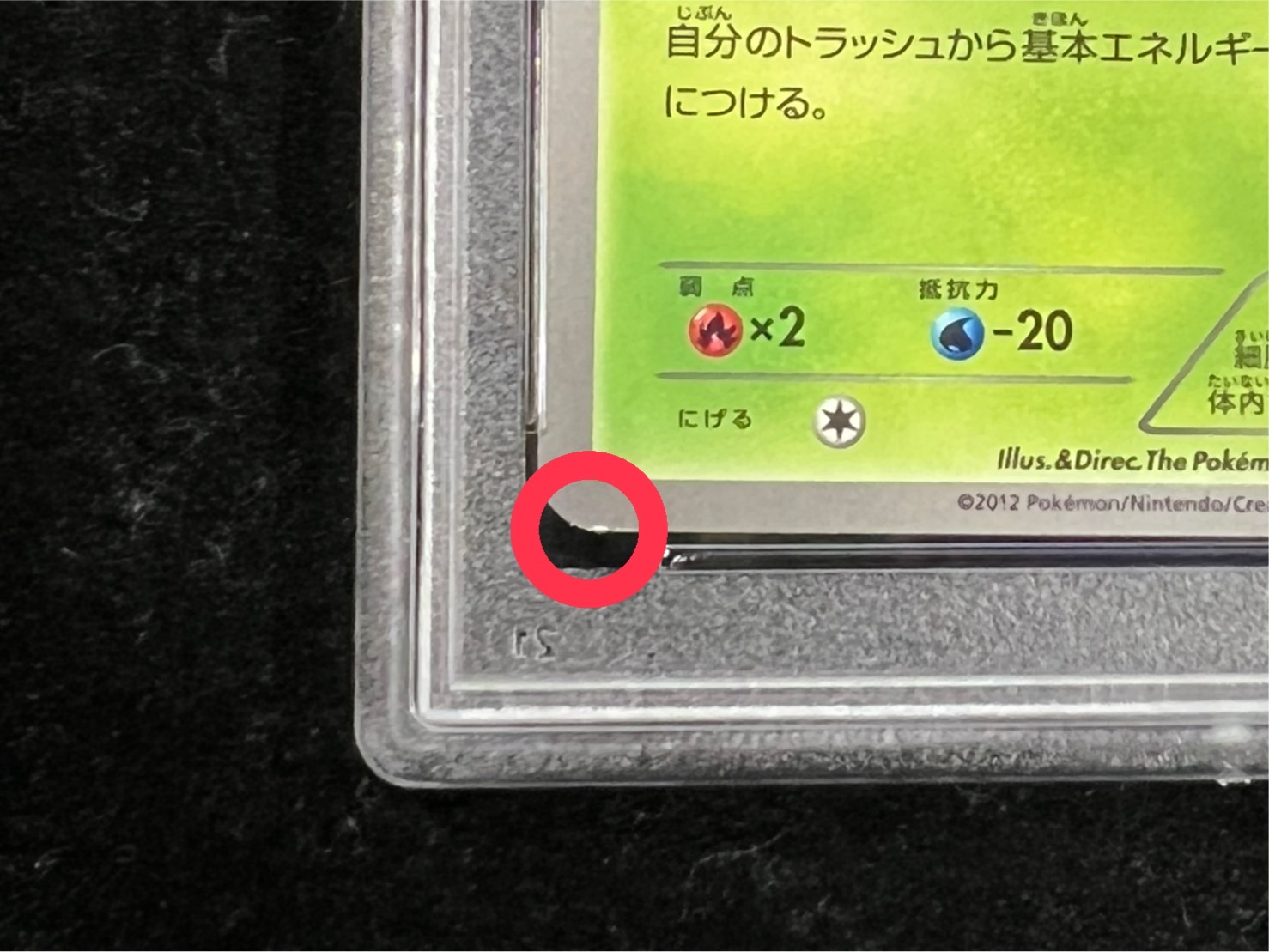 PSA10鑑定済〕リーフィア【P】{182/BW-P}