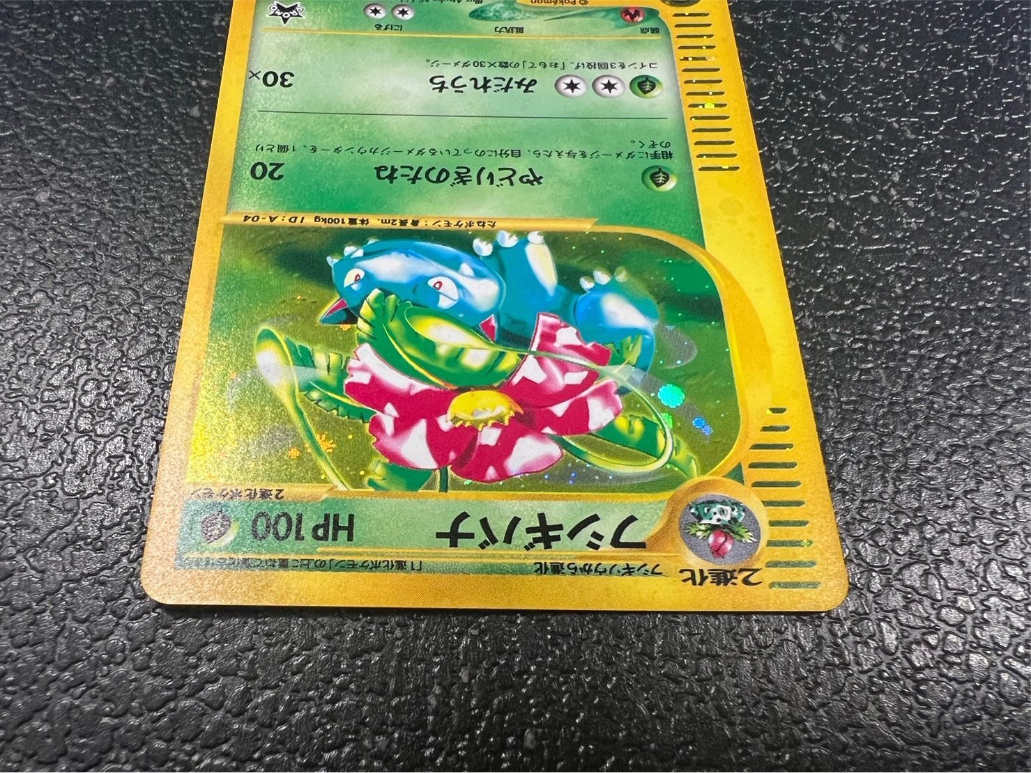 ◇3枚セット◇当選書付き フシギバナ/カメックス/リザードン(トリプル