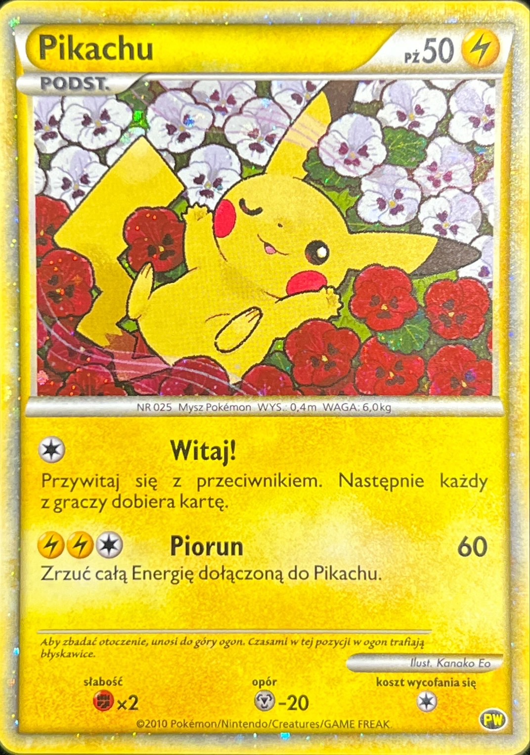 ピカチュウ(ポーランド)【-】{PW}