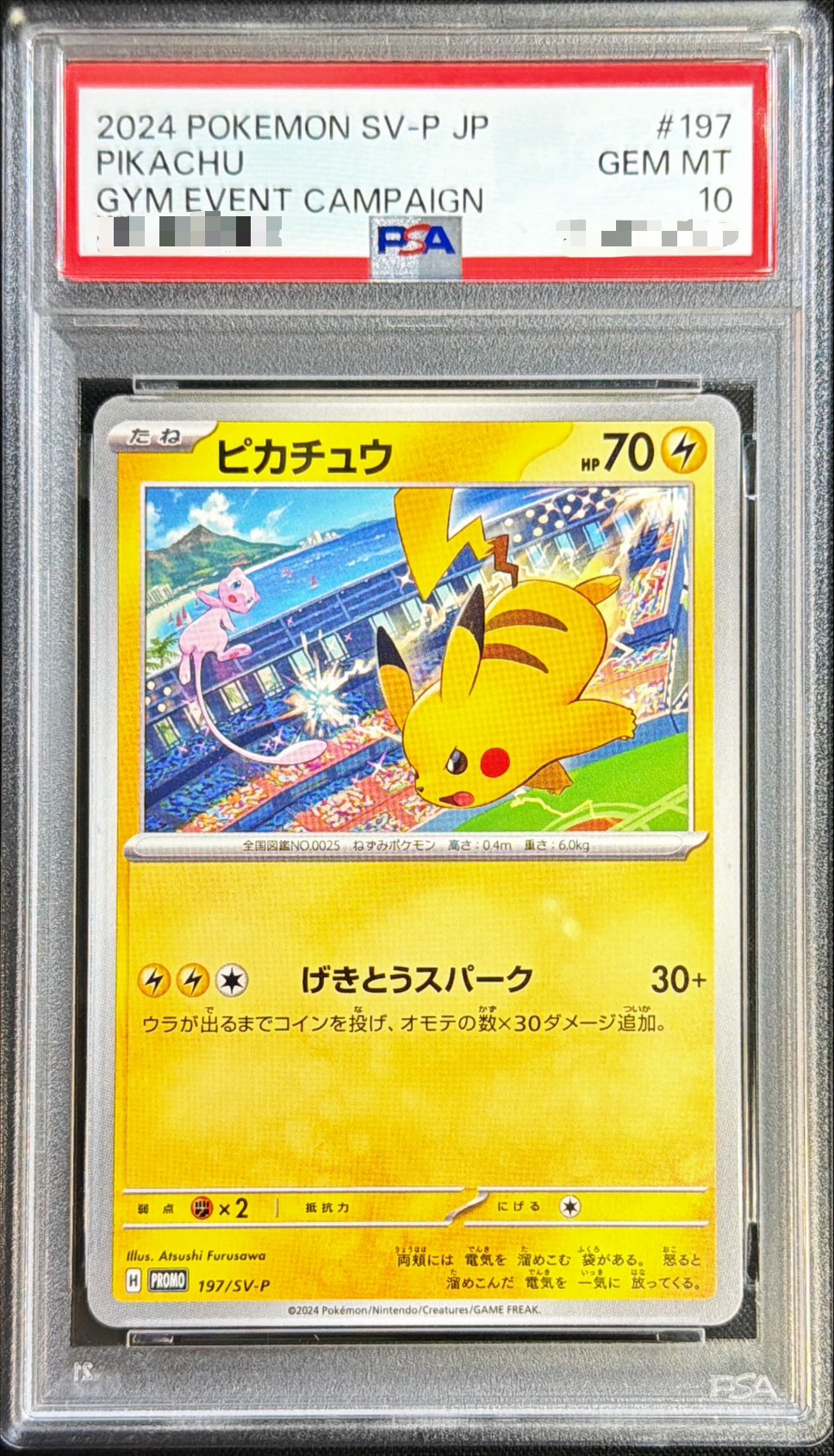 PSA10鑑定済〕ピカチュウ【P】{197/SV-P}