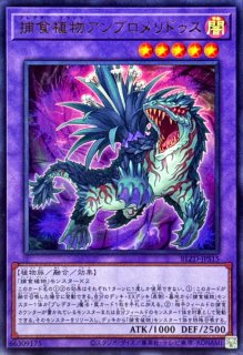黒薔薇の破滅竜【プリズマティックシークレット】{DOOD-JP039}《シンクロ》