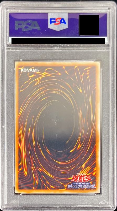 PSA8鑑定済〕ブラックデーモンズドラゴン(初期)【ウルトラ】{Vol.5