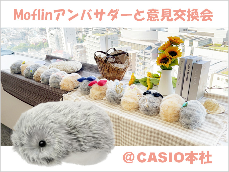 Moflin（モフリン） | CASIO