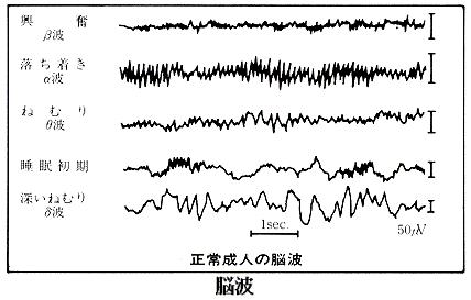 講義概要とサンプルプログラム