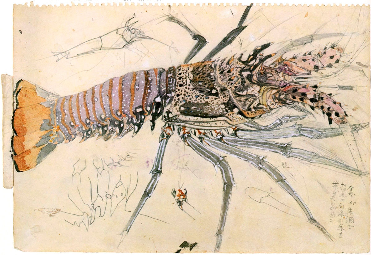田中一村 新たなる全貌 | 企画展 | 千葉市美術館