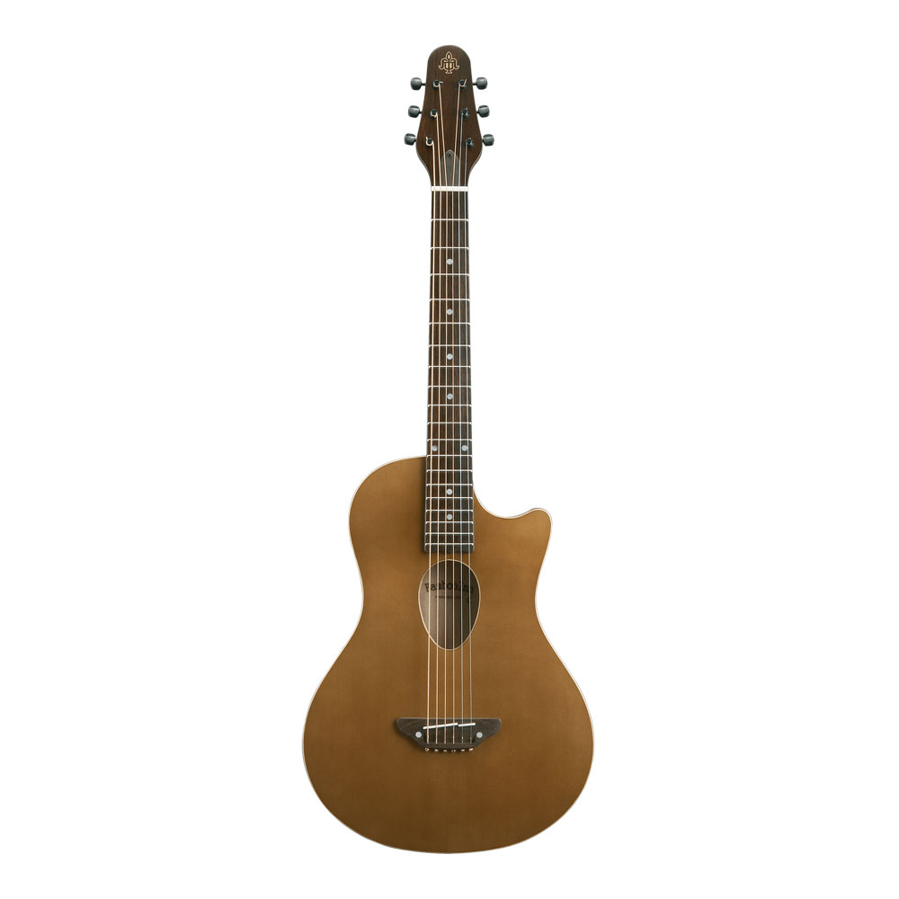 ESP Bamboo Inn CE Char プロデュース エレアコ 美品 ESP Bamboo Inn