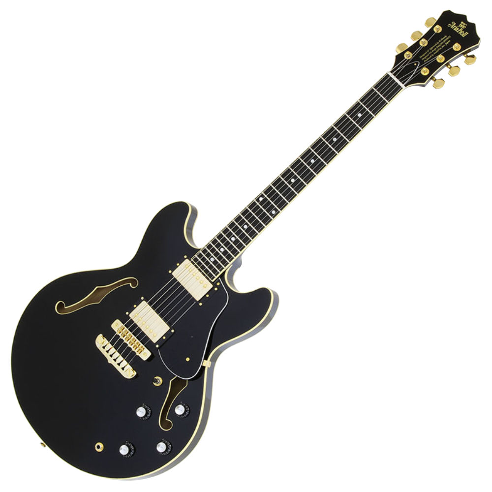 AriaProII アリアプロ2 TA-TONIC BK セミアコースティックギター