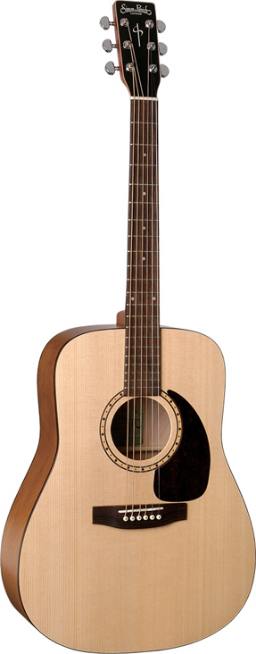 Simon&Patrick Wood Land SPRUCE アコースティックギター(サイモン