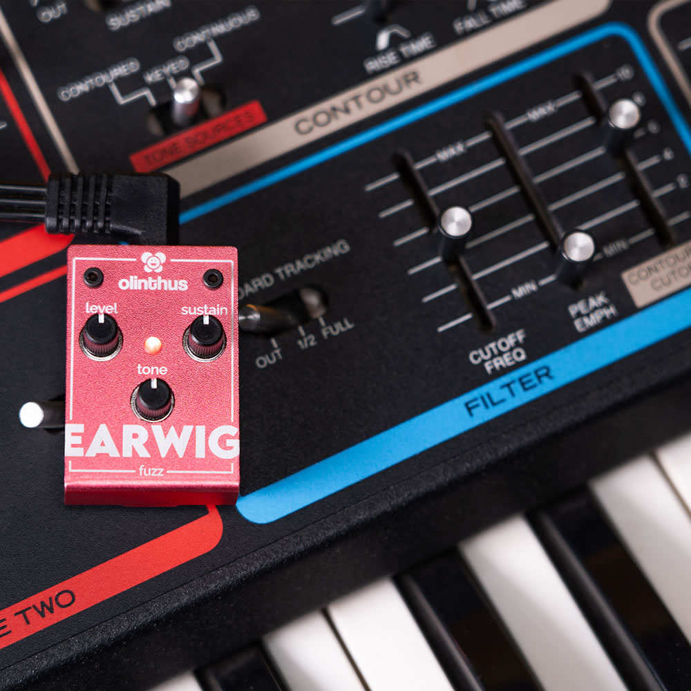 エフェクター Olinthus EARWIG 超小型エフェクター ファズ Fuzz