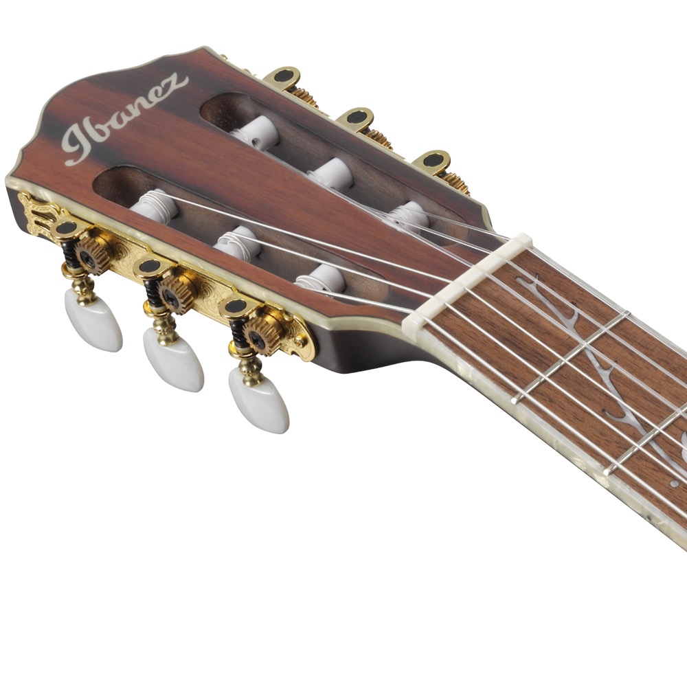IBANEZ TOD10N-TKF Tim Henson Signature Model ナイロン弦 エレガット