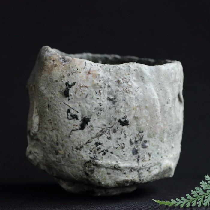 谷本貴 伊賀茶盌 穴窯焼成 抹茶茶碗 作家もの茶陶 茶道 茶の湯 桐箱