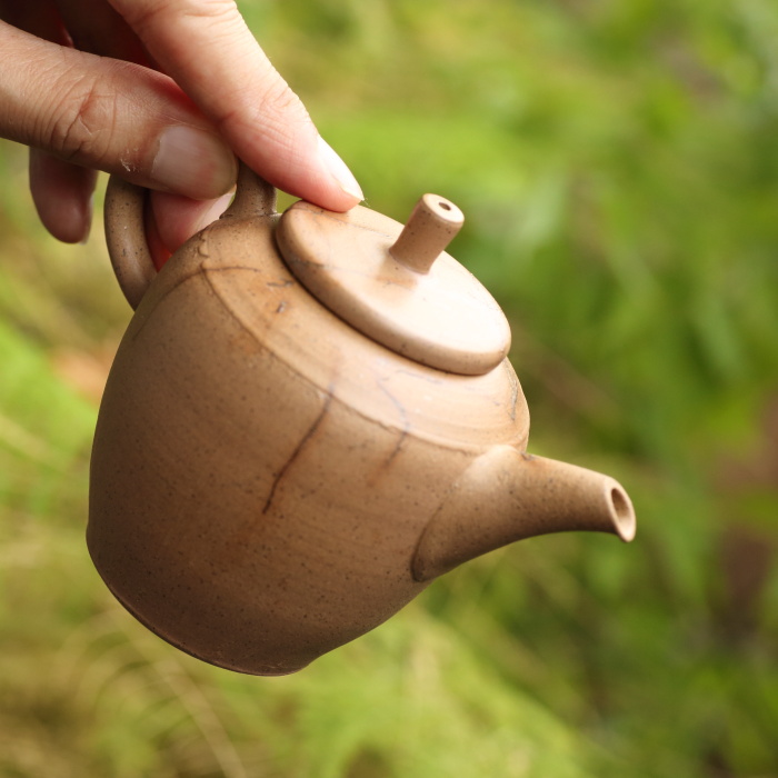 伊藤成二 高台型大地色藻掛け茶壷 満容量190ml 作家もの常滑焼後手急須