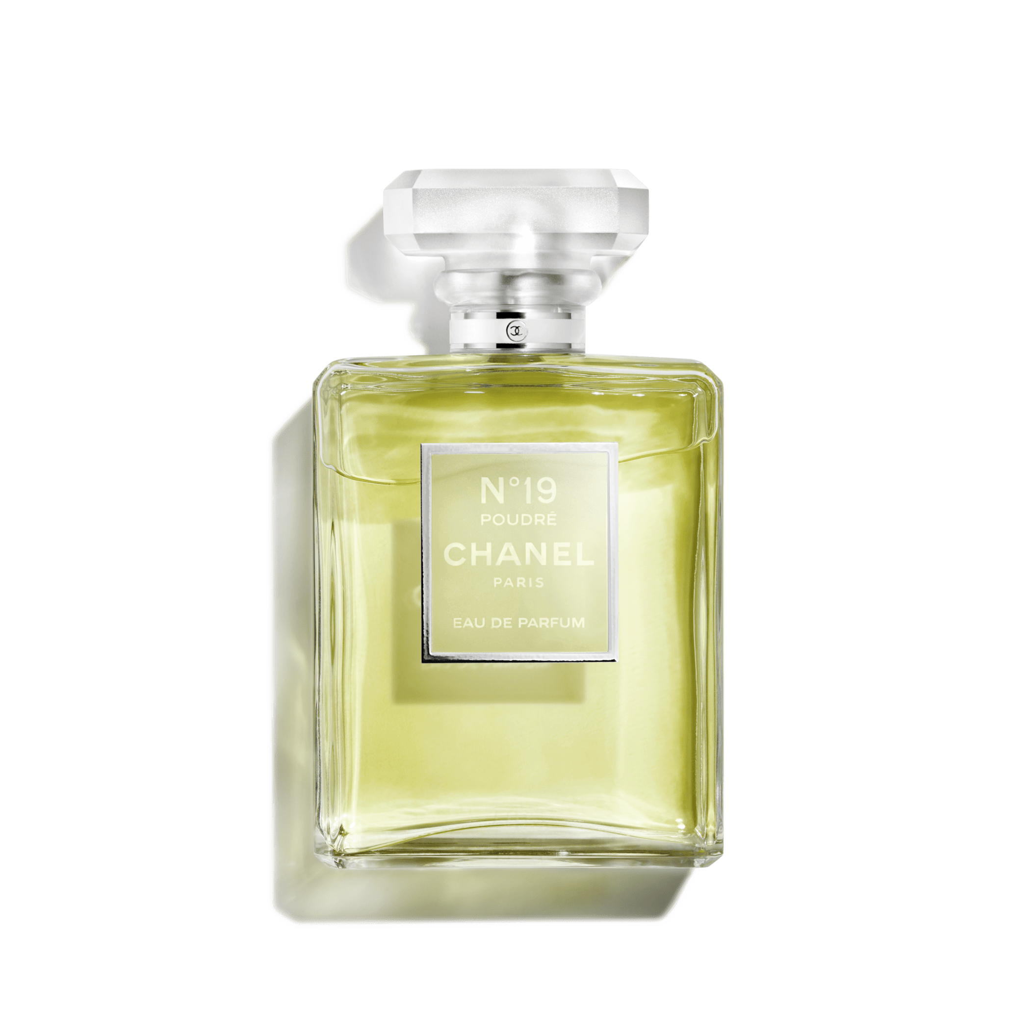 N°19 Eau De Parfum Spray (EDP) - 3.4 FL. OZ. | CHANEL