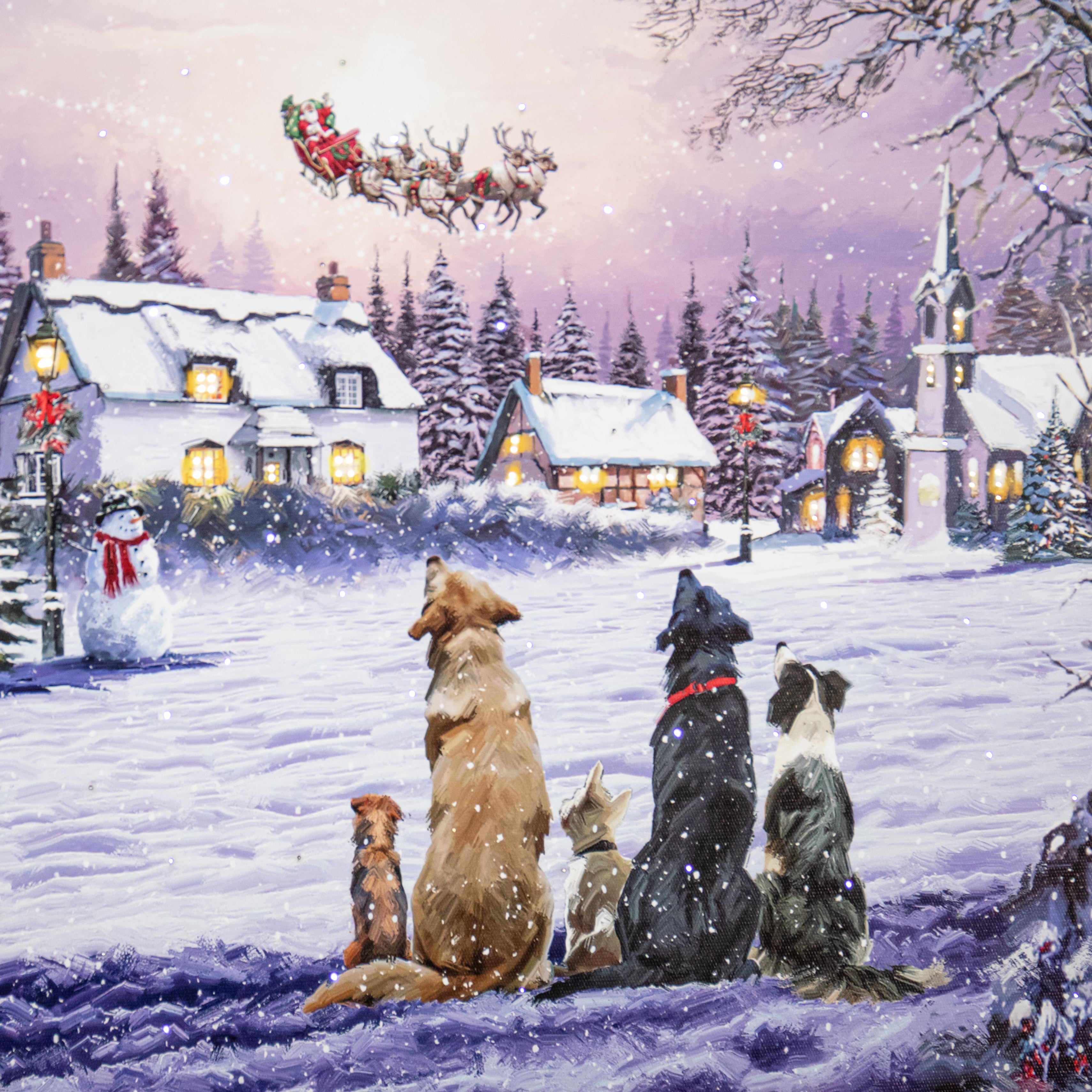 40 x 30cm Battery Operated Light up Fibre Optic Dogs Watching