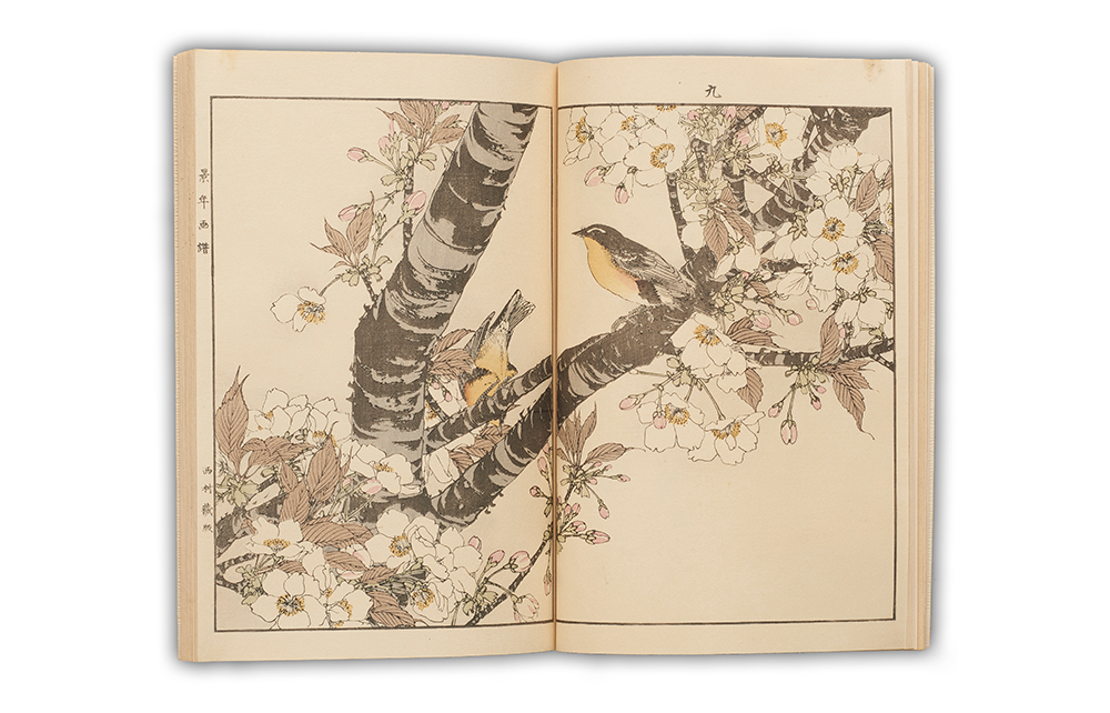 景年花鳥画譜』を求めた時代 - 千總 (日本語)