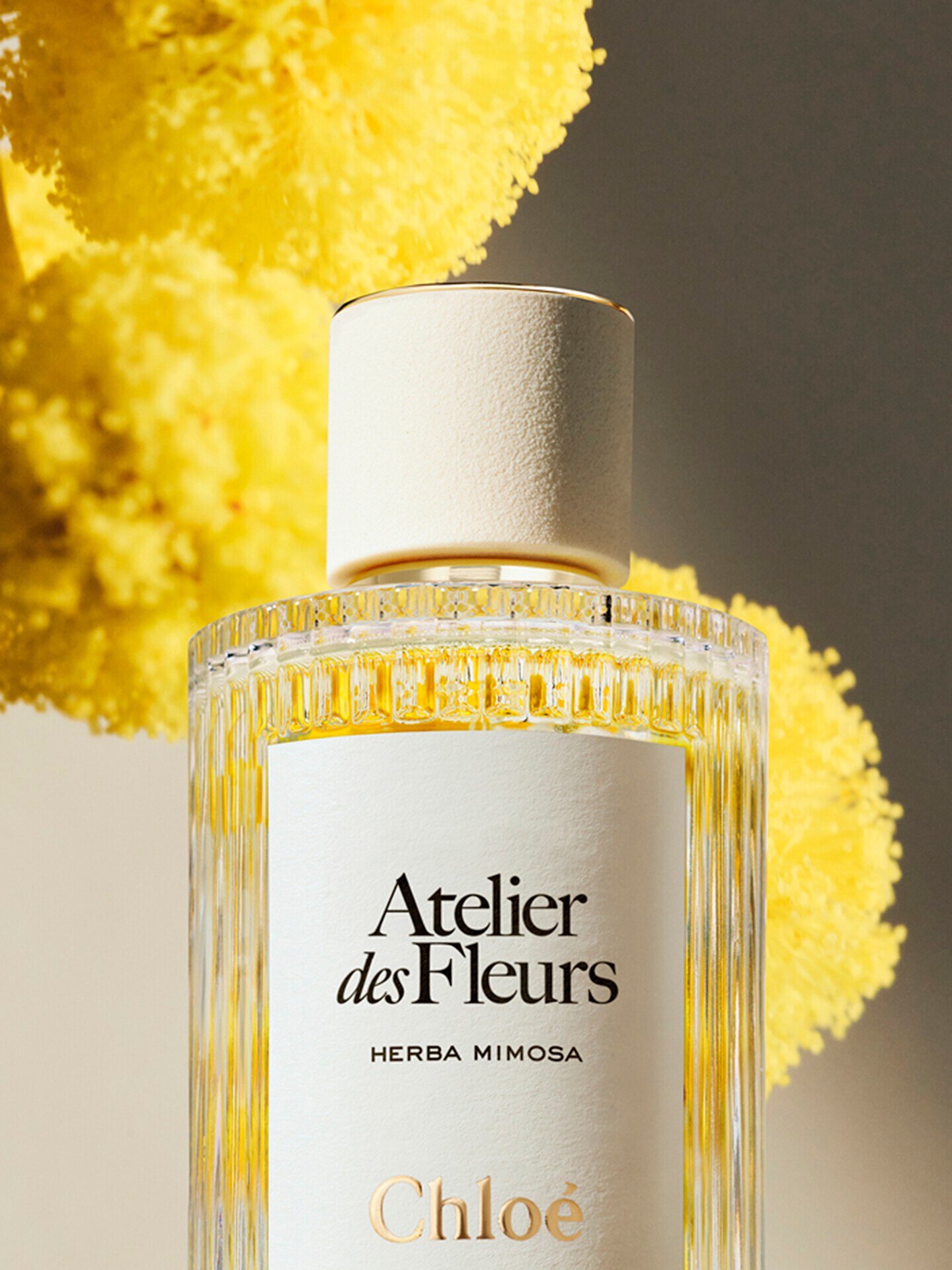 Atelier des Fleurs Herba Mimosa Eau de Parfum 150 ml - Chloé