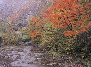葛丸川渓流・たろし滝｜花巻市