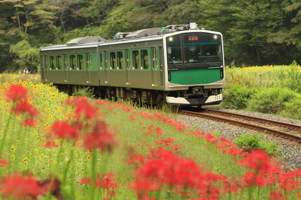 JR烏山線／那須烏山市公式ホームページ