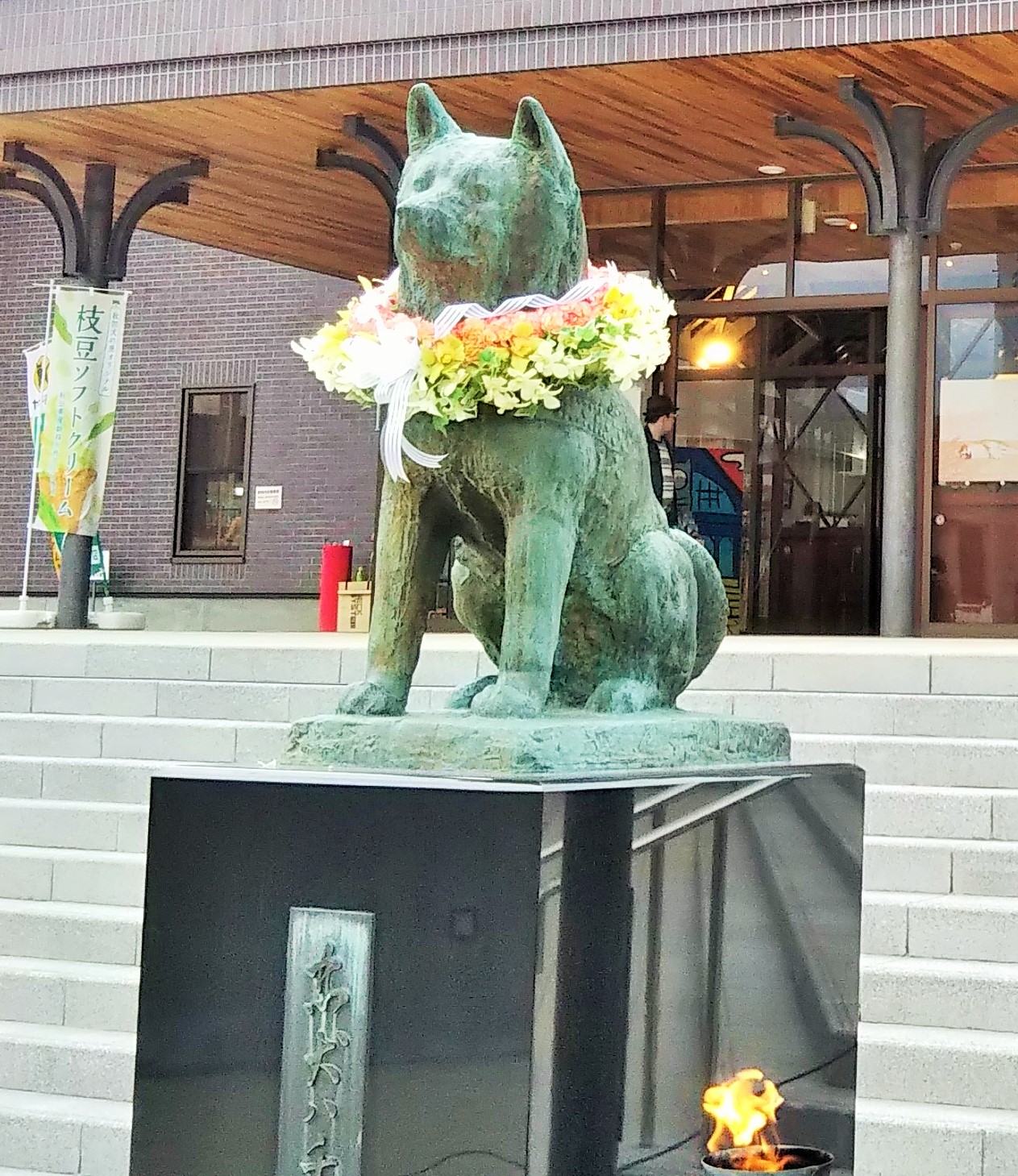 秋田犬 | 大館市公式サイト｜観光・市政・暮らし情報｜大館というところ。
