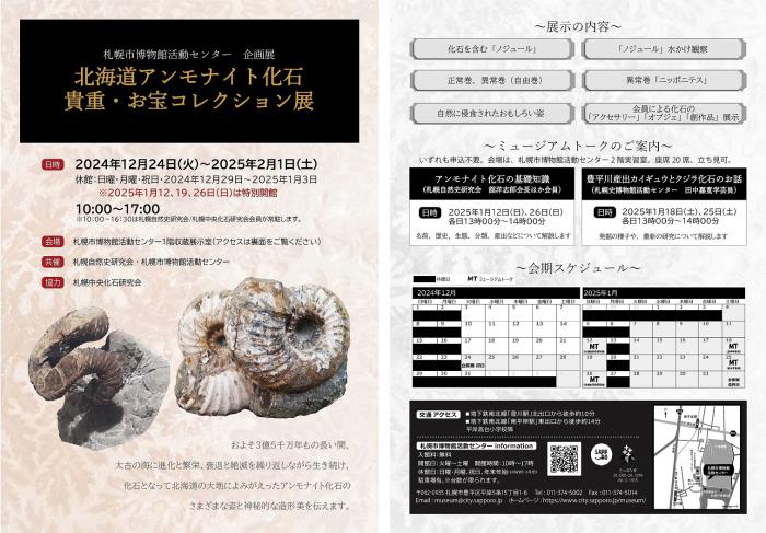 北海道アンモナイト化石、飾り棚に収納した12点＋資料4点＋おまけ2