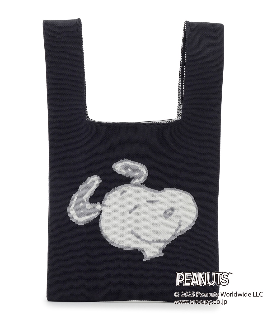 PEANUTS/ピーナッツ】SNOOPY/スヌーピー ミニトートバッグ chara