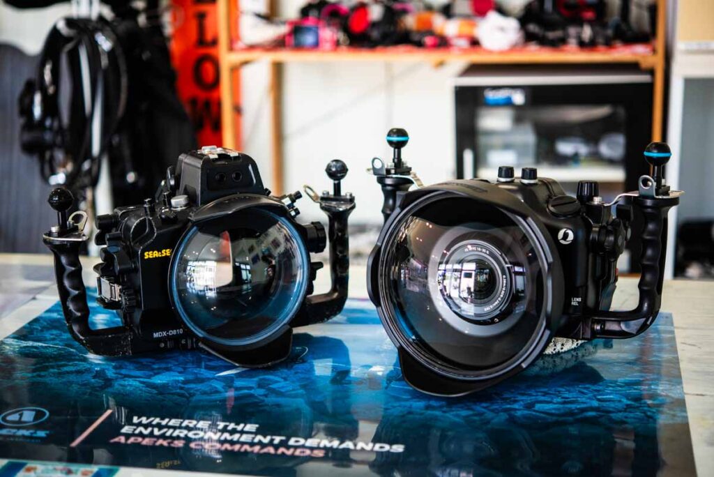 nauticam NA A7IV(左) & SEA&SEA MDX-D810(右) | 水中写真撮影 空 良太郎