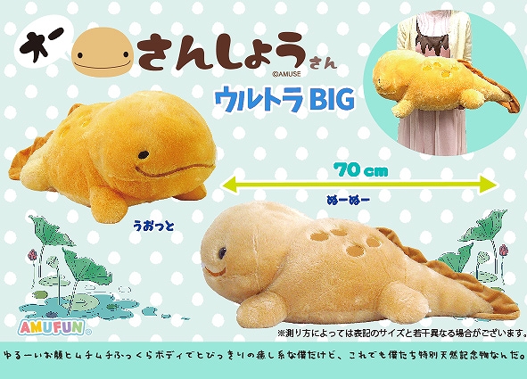 ≪8月の新商品≫オーさんしょうさん-NEW ITEM！｜アミューズ最新情報