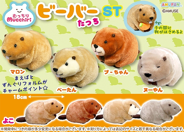 ≪1月の新商品≫むっちりビーバーたっち -NEW ITEM！｜アミューズ最新情報