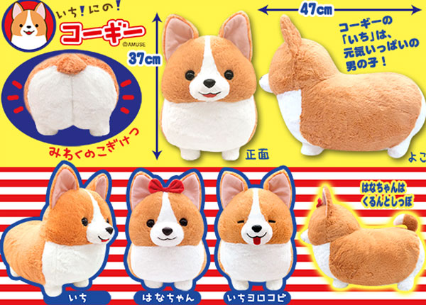 ≪10月の新商品≫アミューズプライズーNEW ITEM！☆いちにのコーギー