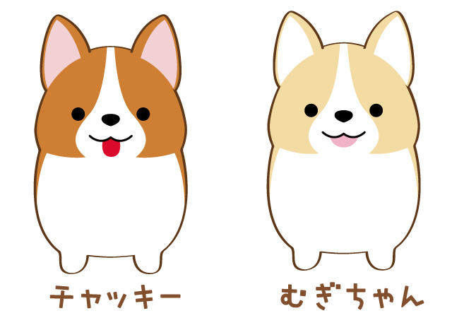 いち！にの！コーギー｜キャラクター紹介｜株式会社アミューズ