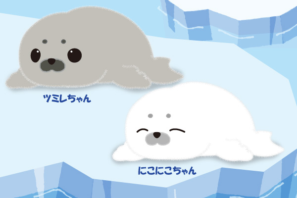 ほわほわアザラシちゃん｜キャラクター紹介｜株式会社アミューズ
