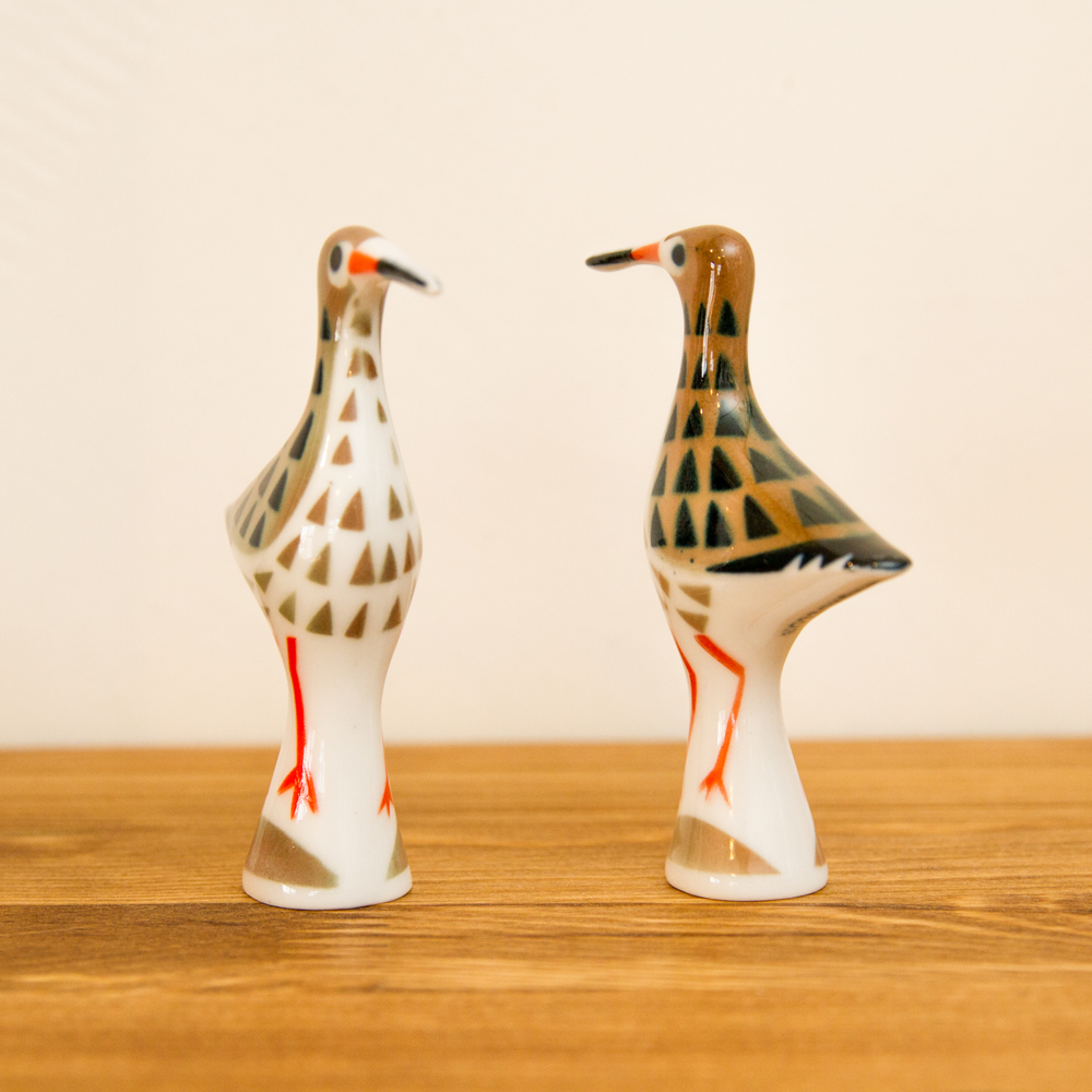 アカアシシギ (REDSHANK) Sargadelos/サルガデロス | ANDCHILD