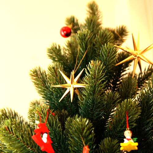 シュヴァルツヴァルト クリスマスツリー「90cm」 [RS GLOBALTRADE社