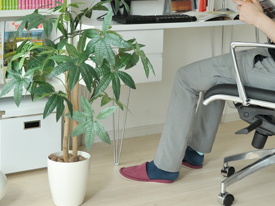 光触媒人工観葉植物パキラ | 家具・インテリア通販 【公式】エアリゾーム
