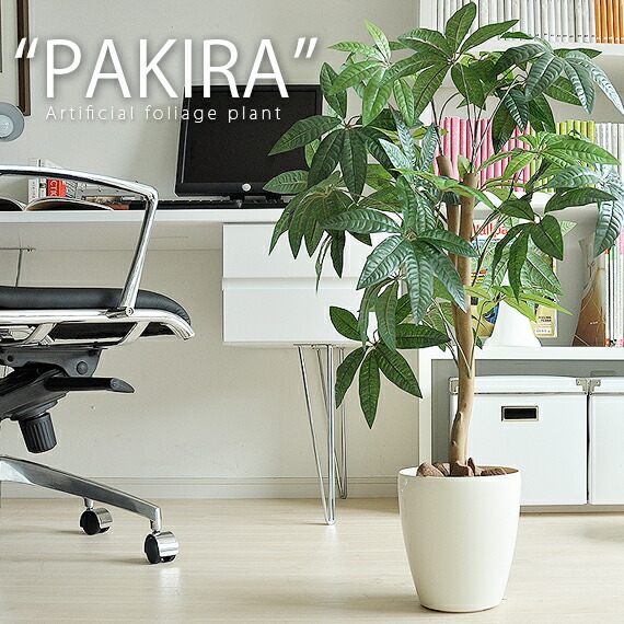 光触媒人工観葉植物パキラ | 家具・インテリア通販 【公式】エアリゾーム