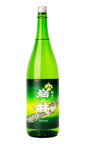 岩の井 純米「みどり 海亀」 1800ml 【千葉県】【岩瀬酒造】【日本酒