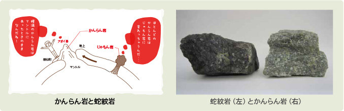 3. アポイのかんらん岩はとても新鮮 | 「アポイ岳ジオパーク」公式