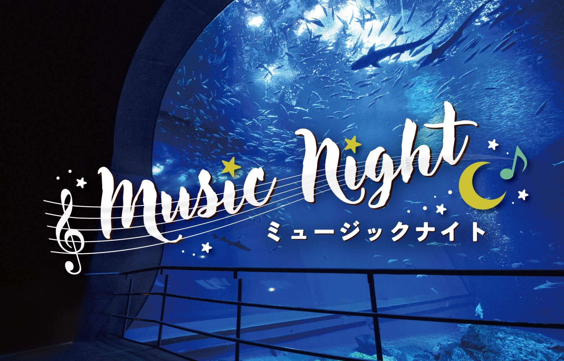 生きものたちと音楽に親しむ癒しの夜の水族館！2月の土曜日は