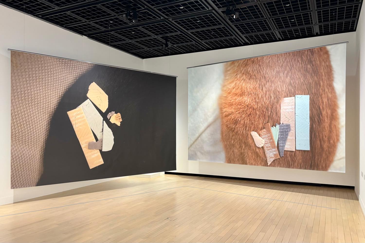 現在地のまなざし 日本の新進作家 vol.21 @ 東京都写真美術館 - フォト