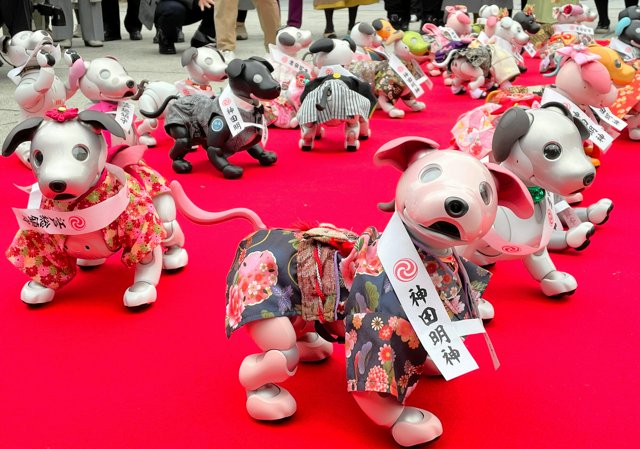 ロボット犬aiboが七五三 振り袖や羽織はかま姿で二礼二拍手一礼：朝日新聞
