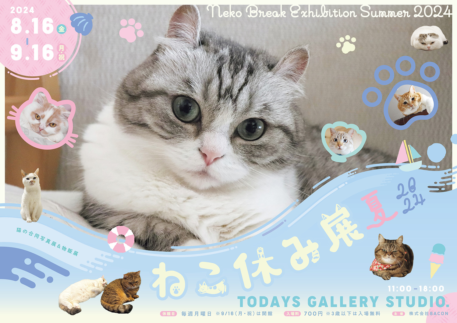じゃれねこ『8月16 ブルー×グラデーション』 じゃれねこ『8月☆16 ブルー×