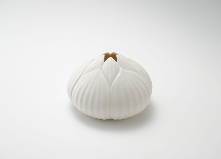 繊細で柔らかな世界を白磁で生み出す 陶芸家・若杉聖子による 個展