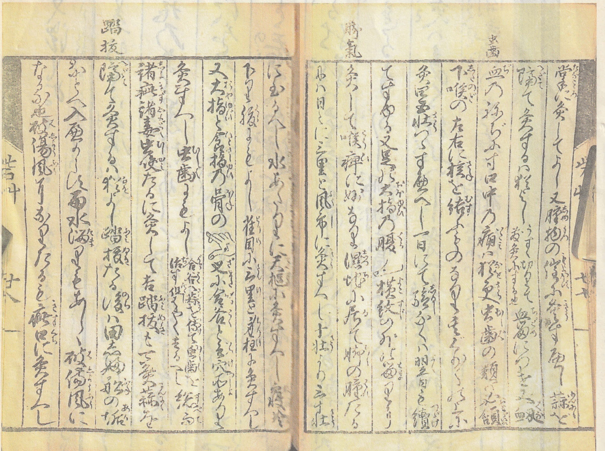 150年間、一般に公開されてこなかった漢方医学書の秘伝書 『砦草