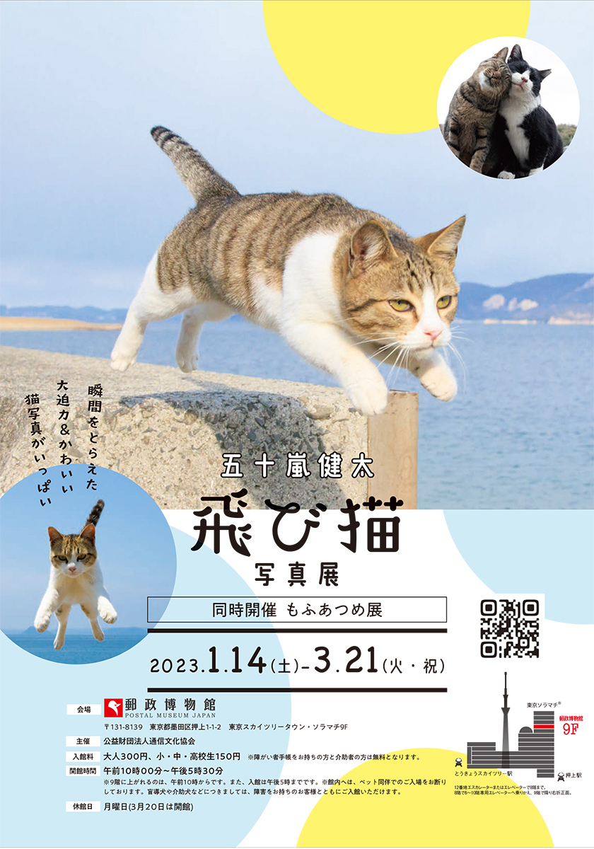 五十嵐 健太「飛び猫写真展」が2023年1月14日から 郵政博物館で開催
